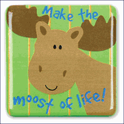 Stephen Joseph Silly Squares Moose Magnet