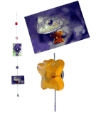 Streamline Butterfly Mighty Magnet Photo Frame Cable Set