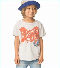 Chaser, Grateful Dead Hippy Tee in Salt