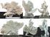  Ancient White Coral on Glass Display Stand ~H:7x10x5", 4lbs - Vtg