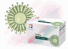 Quidel Sofia SARS Antigen Fluorescent Immunoassay (20374)