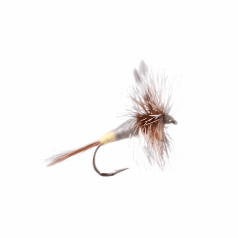 Adams Female Dry Fly
