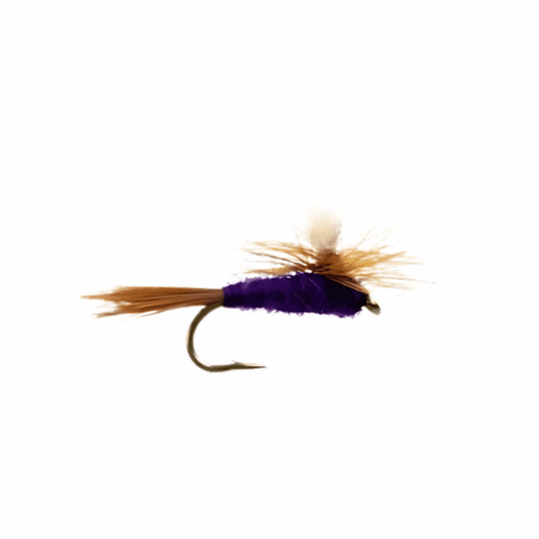 Adams Purple Parachute