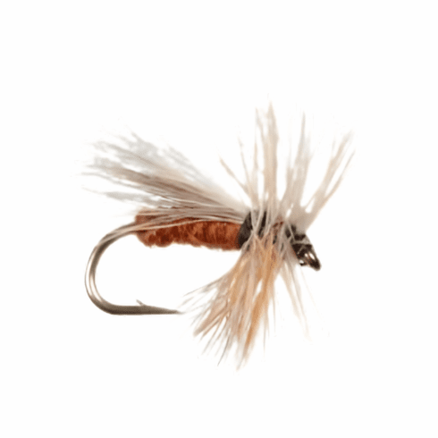 Caddis Variant Ginger