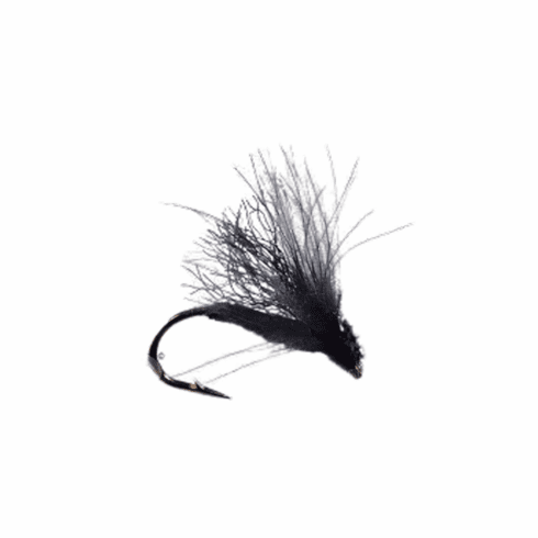 CDC Adult Caddis Black