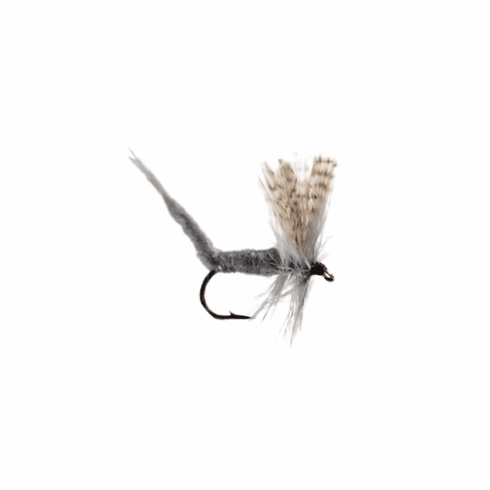 Dark Hendrickson Extended Dry