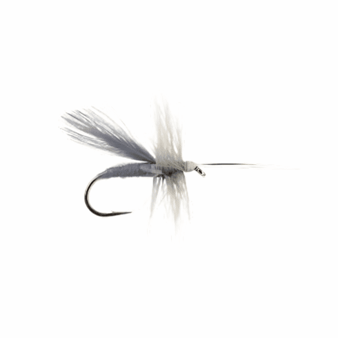 Dun Caddis