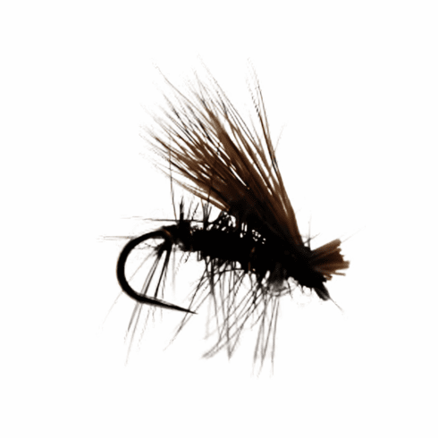 Elk Hair Caddis Black