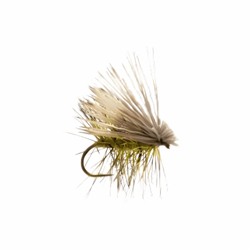 Elk Hair Caddis Olive