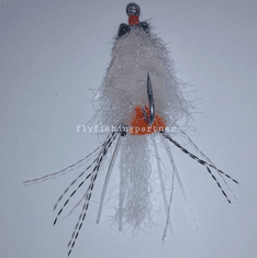 Ep spawning shrimp