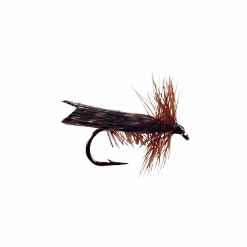 Flat Wing Caddis