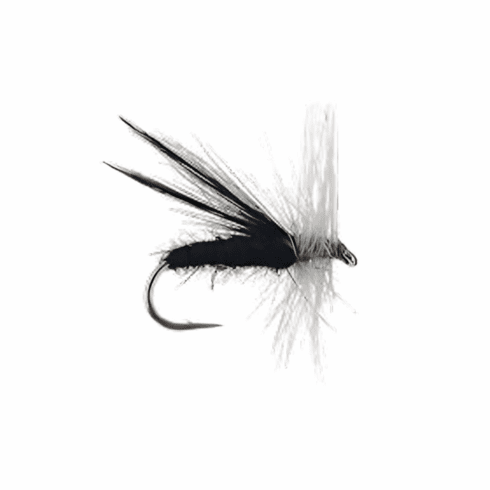 Fluttering Caddis Black