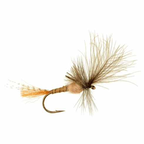 Last Chance Cripple Hendrickson