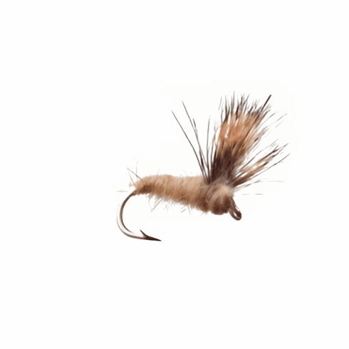 March Brown Sparkle Dun