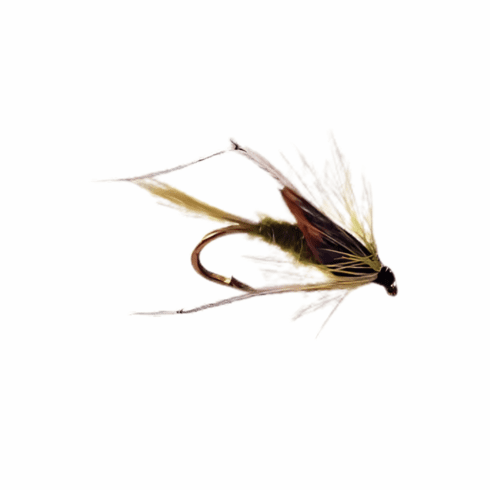 Olive Legged Emerger
