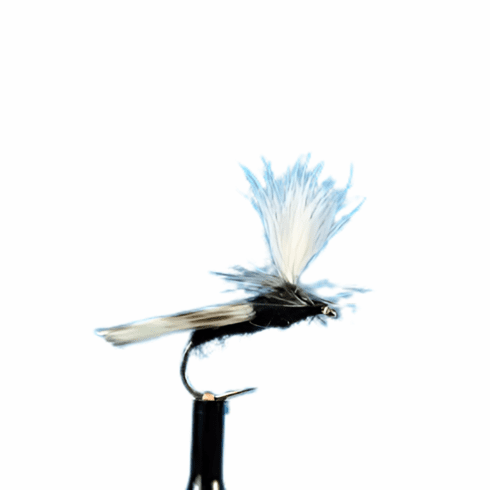 Parachute Caddis Black
