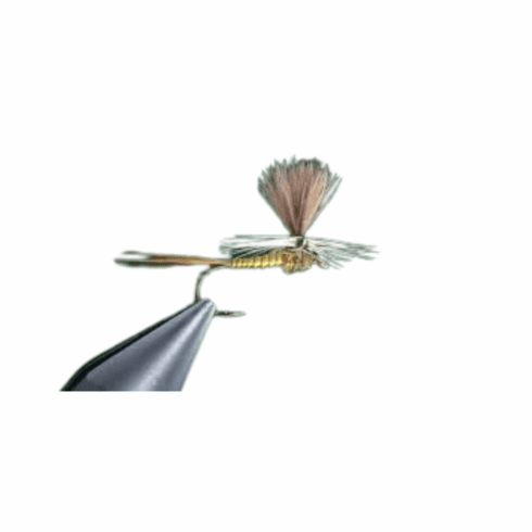 Parachute Hiviz Olive