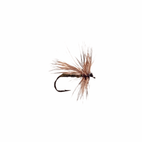 PM Caddis