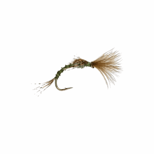 Shuttlecock Emerger