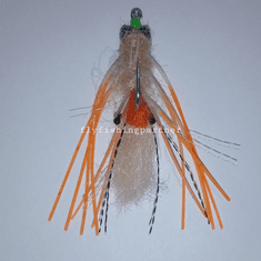 Spawning mantis shrimp