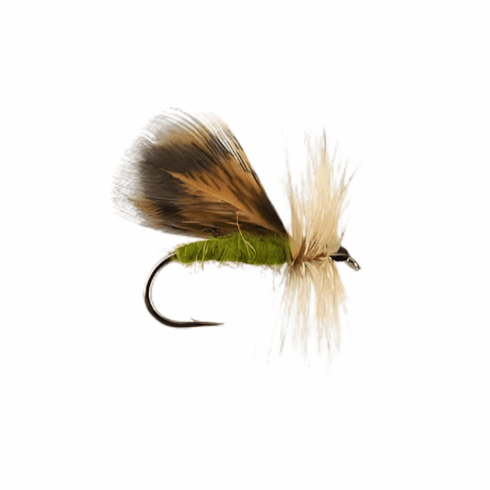 Spent Partridge Caddis