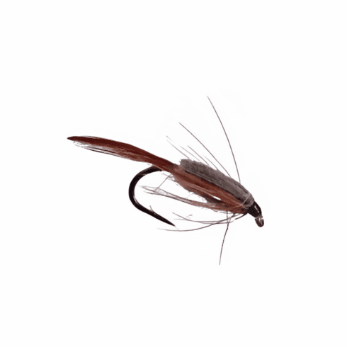 Stillborn Caddis