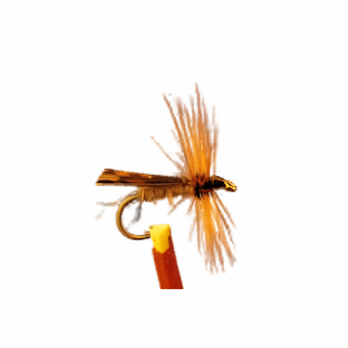 Tent Wing Caddis