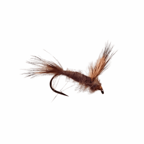 The Usual Brown Drake