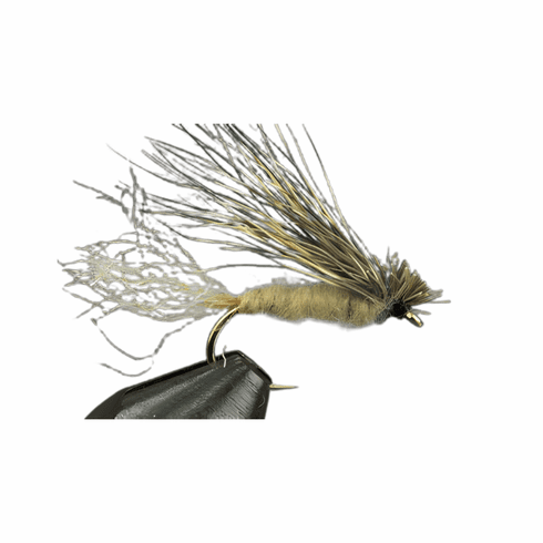 X Caddis