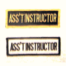 ASS'T INSTRUCTOR PATCH ASS'T INSTRUCTOR PATCH