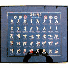 TKD PIN SET W/FRAME TKD PIN SET W/FRAME