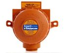 Fixed Point Gas Detectors