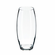 AMARYLLIS 10" Glass Bullet Vase