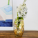 AMARYLLIS 12" Brush Gilded Vase