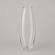 AMARYLLIS 20" Glass Slim Bullet Vase
