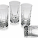 ROMA 10 oz Glass Tumbler