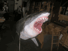 Giant Fierce 12 ft 3D Great white Shark Replica JAWS