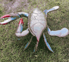 NEW Giant 4ft x 4ft Crab 3/D ceiling or wall -Live or cooked colors!