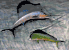 NEW SAILFISH and  BULL Dolphin VALUE HALF MOUNT DECOR