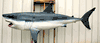 Super SALE!! XXL Great White Shark mount replica 116 inches