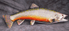 XL Brook Trout Mount Replica- 28 inch