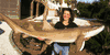 XL Nurse Shark Mount/Replica  66 inch