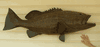 XXL Big Black Grouper mount for sale- 50 inches