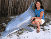 XXL Bottlenose Dolphin (Flipper) Mount /Replica