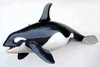 XXL Killer Whale ceiling mount/replica