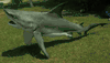 XXL  Bull Shark 3/D  Replica mount