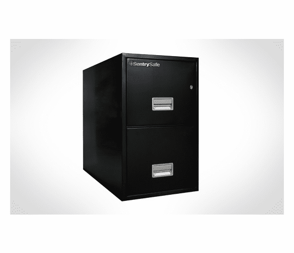 2T3110 Letter Vertical 2-Drawer Fire File 31" Deep. Fireproof & Impact Resistant By Sentry Safe