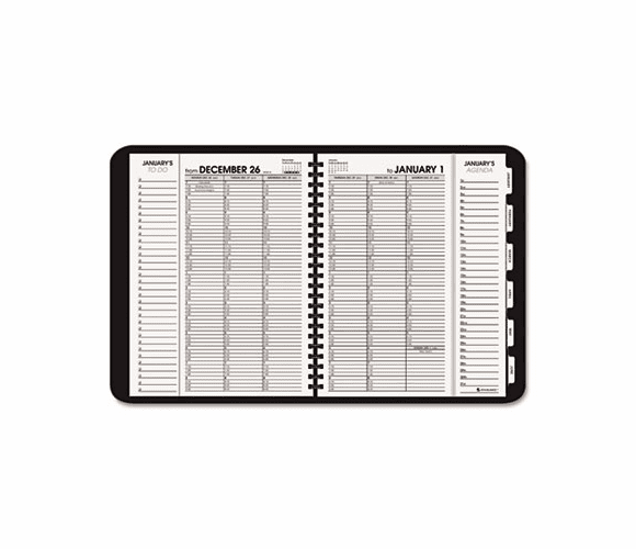 AAG70950V05 Triple View Weekly/Monthly Appointment Book, Black, 8 1/4" x 10 7/8", 2013 By AT-A-GLANCE