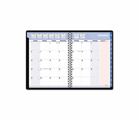 AAG76PN0605 QuickNotes Special Edition Recycled Monthly Planner, Black, 8 1/4 x 10 7/8, 2013 By AT-A-GLANCE