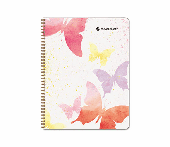 AAG791905G Recycled Watercolors Weekly/Monthly Planner, Design, 8 1/2" x 11", 2013 By AT-A-GLANCE